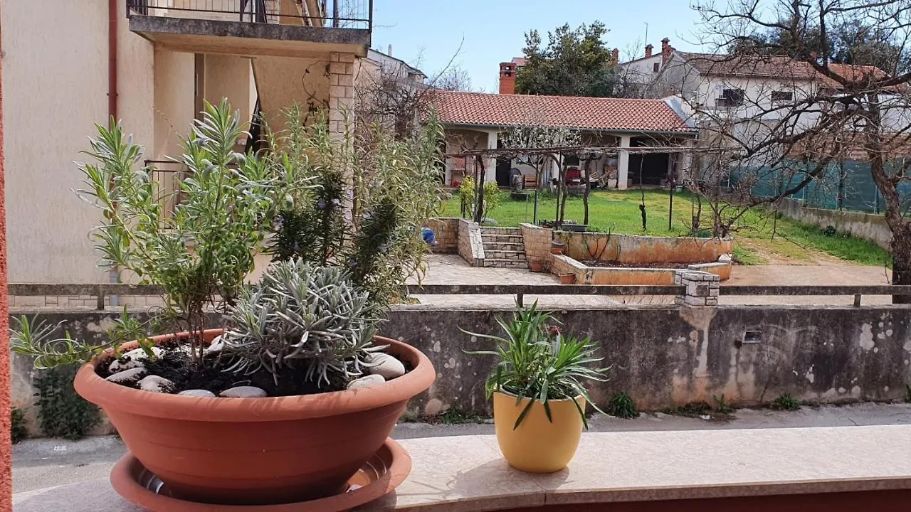 Apartman Istria 4 You Пула Апартаменты